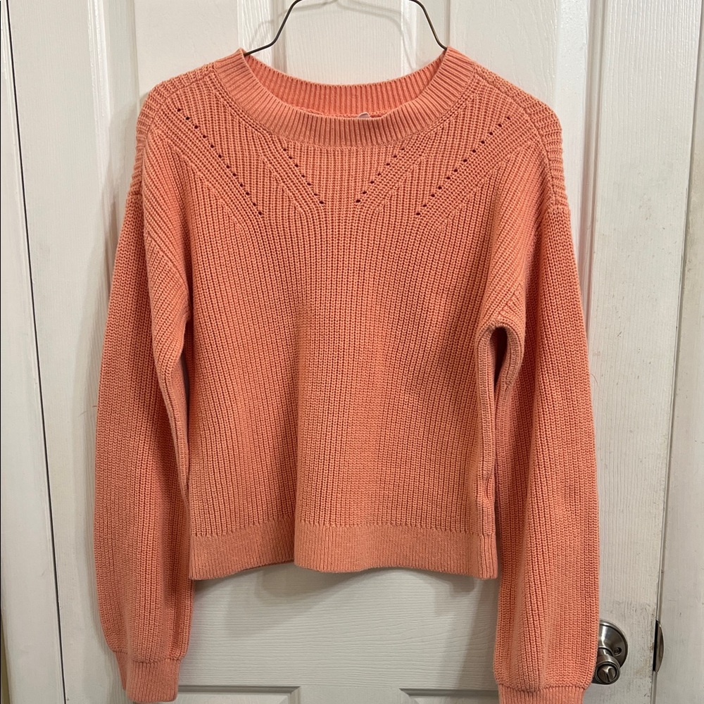GAP Coral Crew Neck Sweater